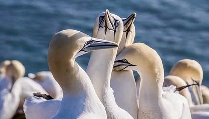 私家侦探在线观看官方下载中心