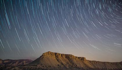 成人网免费使用