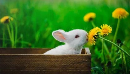 无语!尘封资料背后的原因扎心了,内情第一次被公开,尘封档案是真的吗?