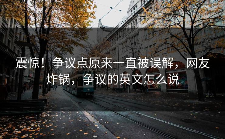 震惊！争议点原来一直被误解，网友炸锅，争议的英文怎么说