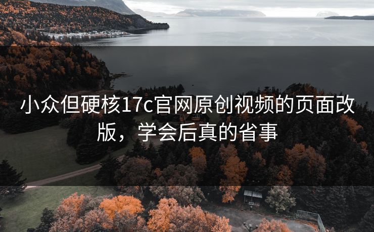 小众但硬核17c官网原创视频的页面改版，学会后真的省事