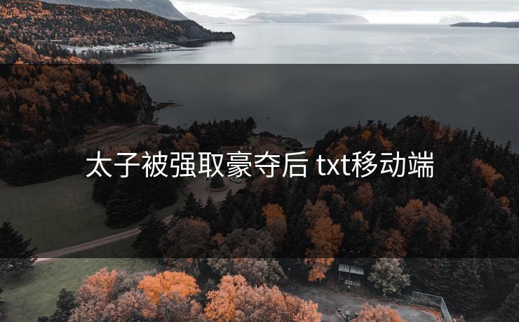 太子被强取豪夺后 txt移动端