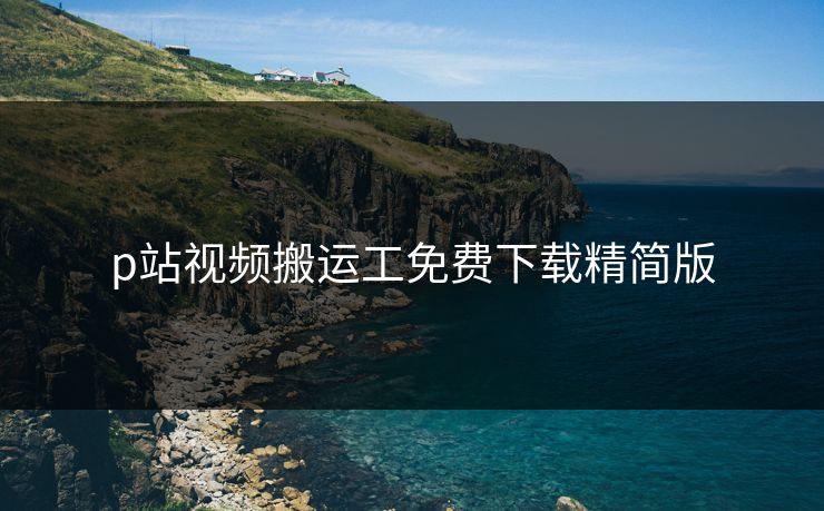 p站视频搬运工免费下载精简版