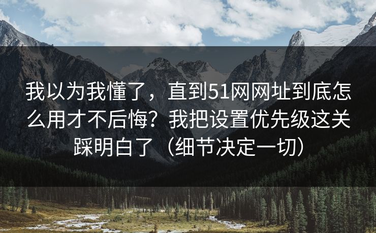 我以为我懂了，直到51网网址到底怎么用才不后悔？我把设置优先级这关踩明白了（细节决定一切）