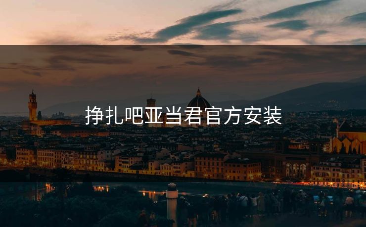 挣扎吧亚当君官方安装