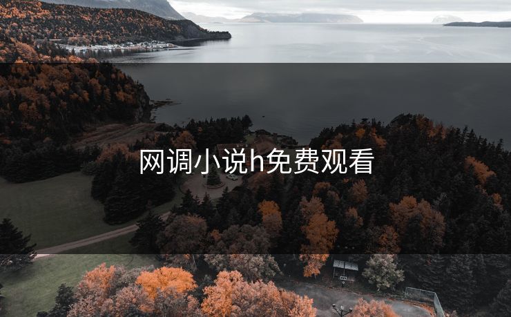 网调小说h免费观看