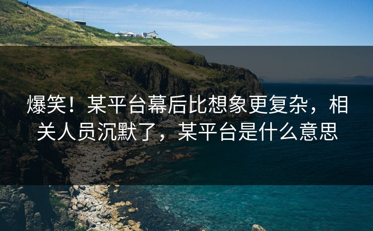 爆笑！某平台幕后比想象更复杂，相关人员沉默了，某平台是什么意思